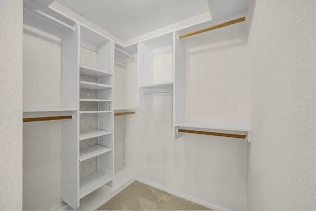 Photo of 3406 Lemon Tree Lane