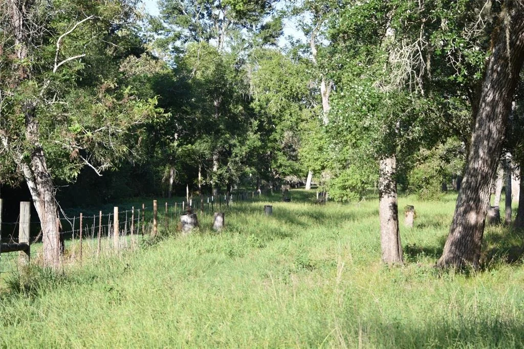 Photo of 5300 U-Pond Drive/County Road 611
