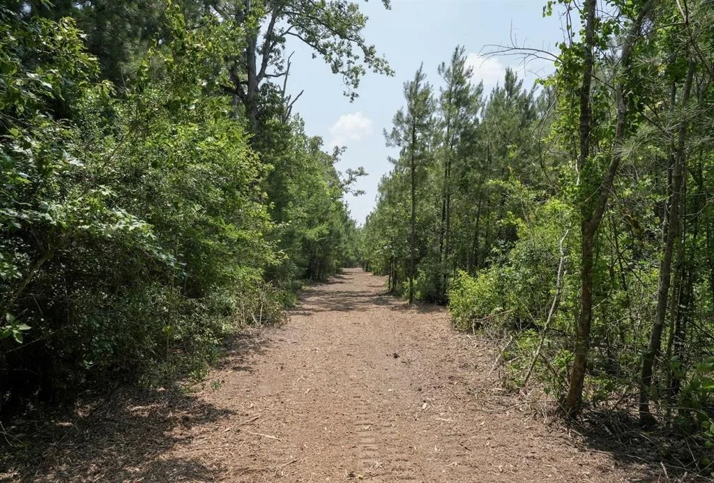 Photo of TBD 2 Robert Jones Rd