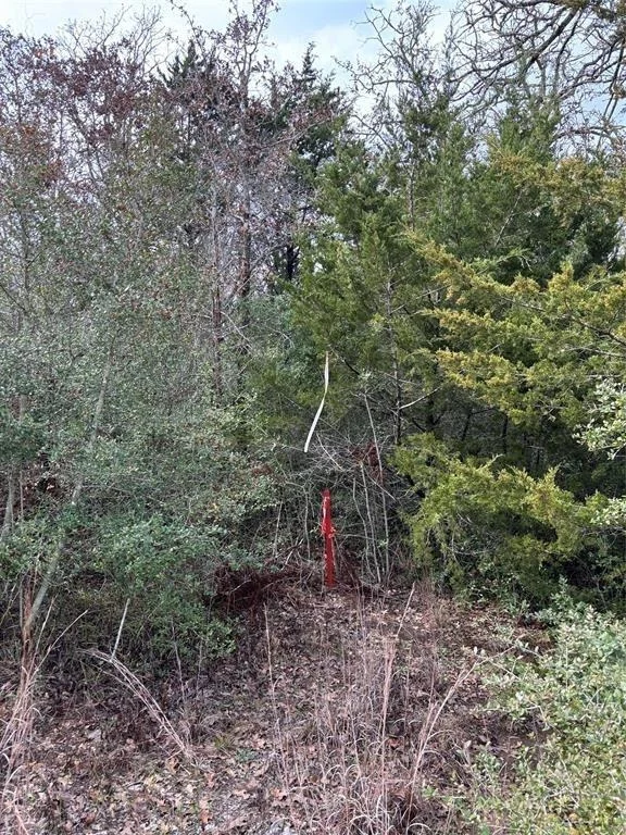 Photo of Lot 64 Shadow Oaks Drive