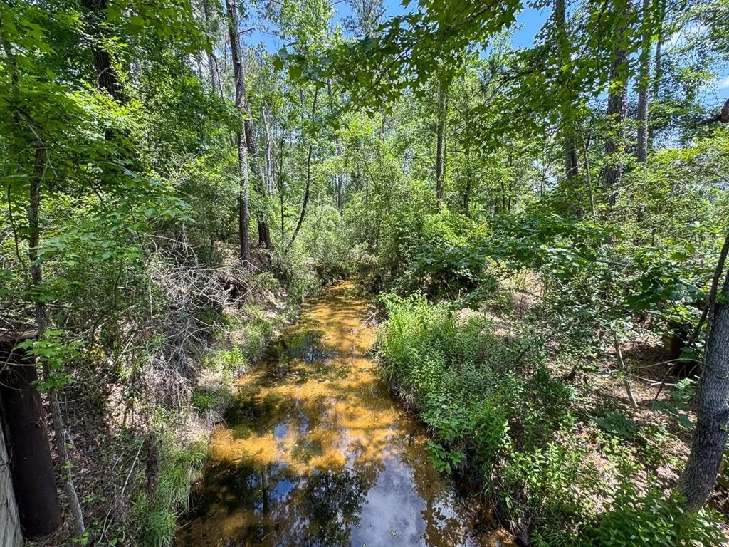 Photo of TBD Fm 355
