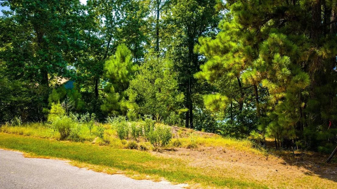 Photo of TBD Ridgewood Trail