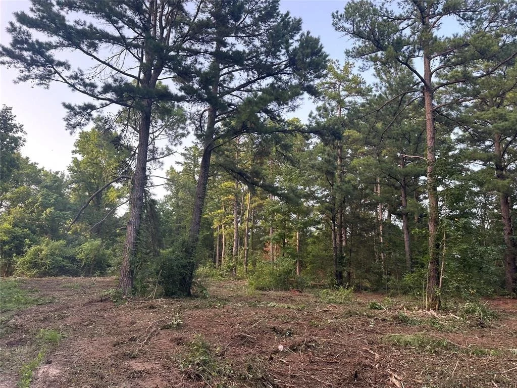 Photo of TBD Lot 9 C R 386