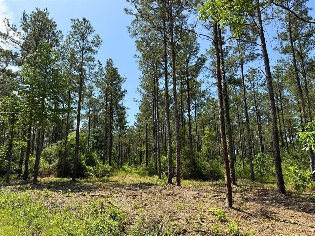Photo of 1 Camp Ruby Road
