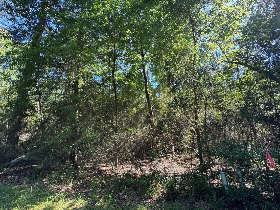 Photo of 28 Laurel Oak
