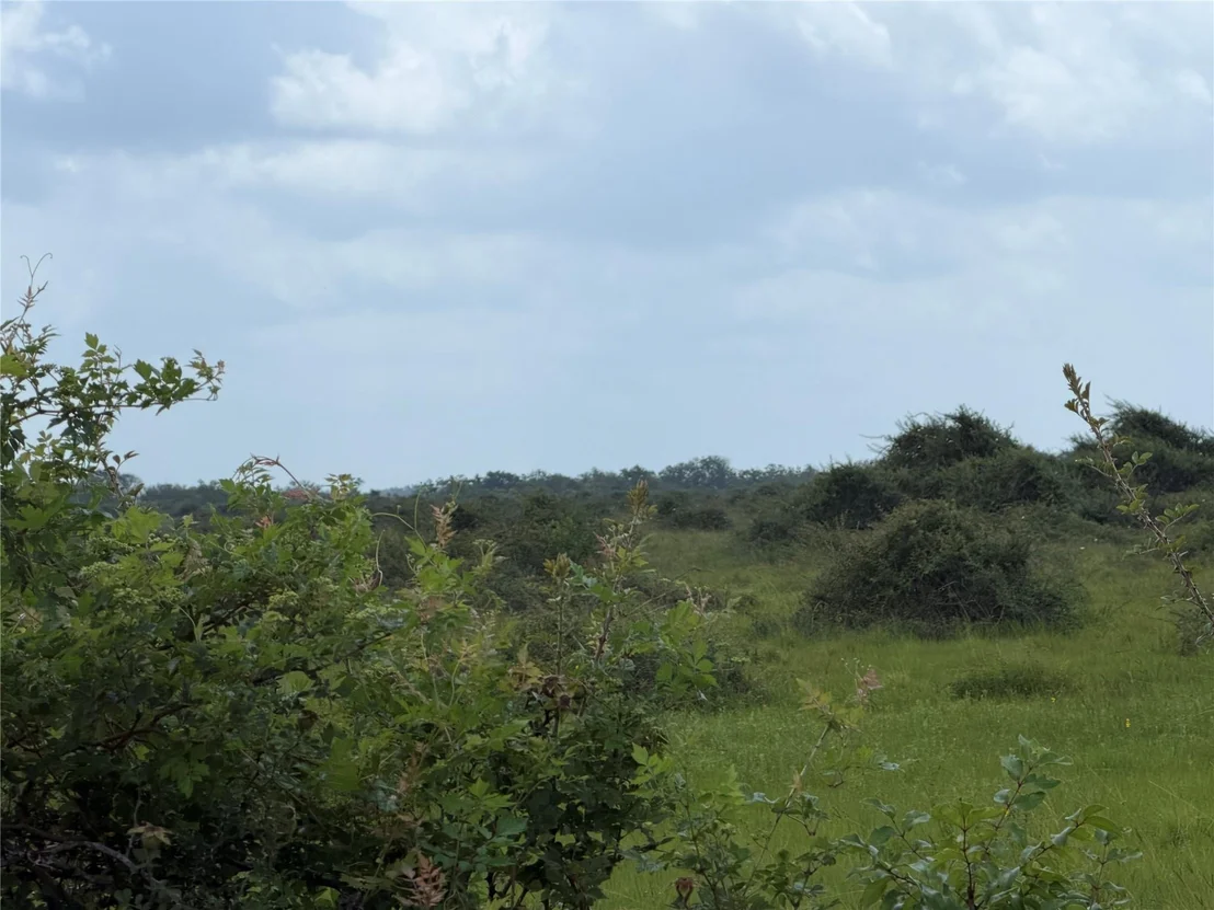 Photo of 0 Fm 616