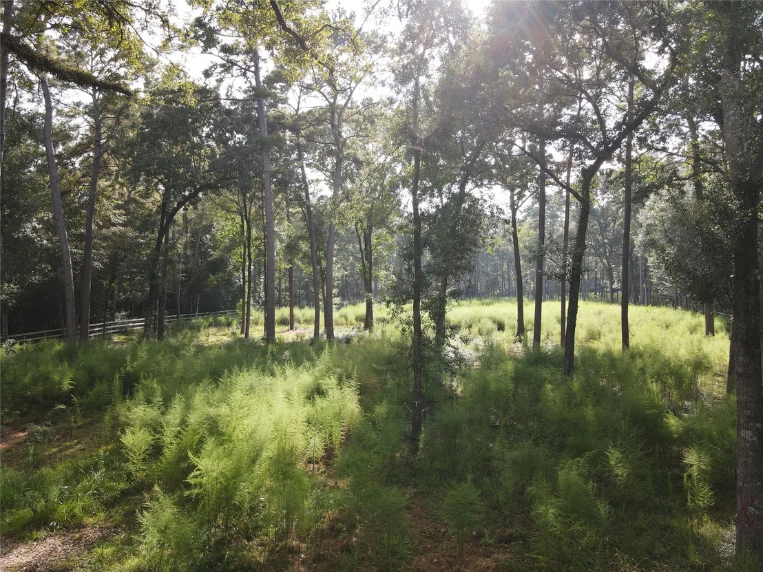 Photo of 11313 Lake Forest Drive