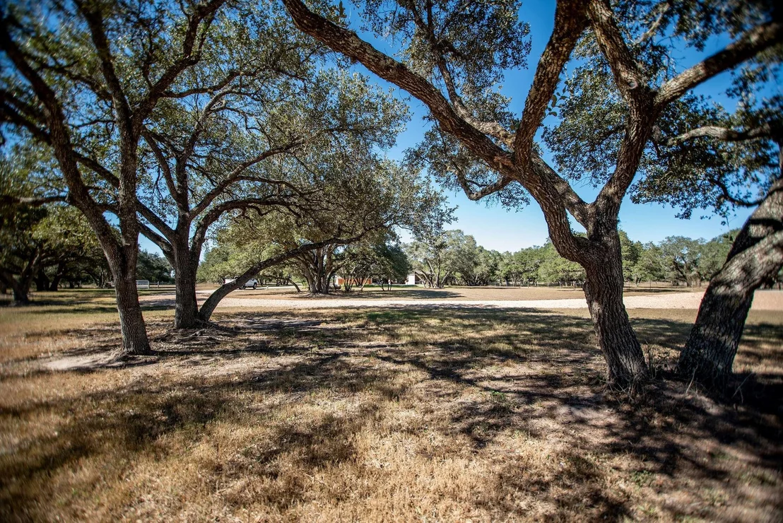 Photo of 437 Bischoff Road