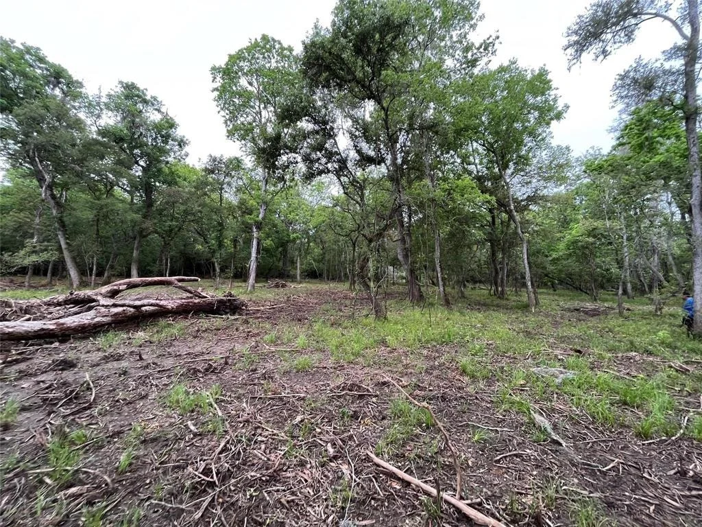 Photo of 2872 Brazoria County Road