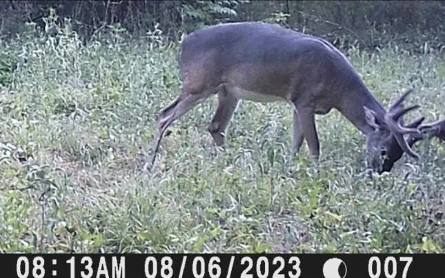 Photo of TBD Pr 1350