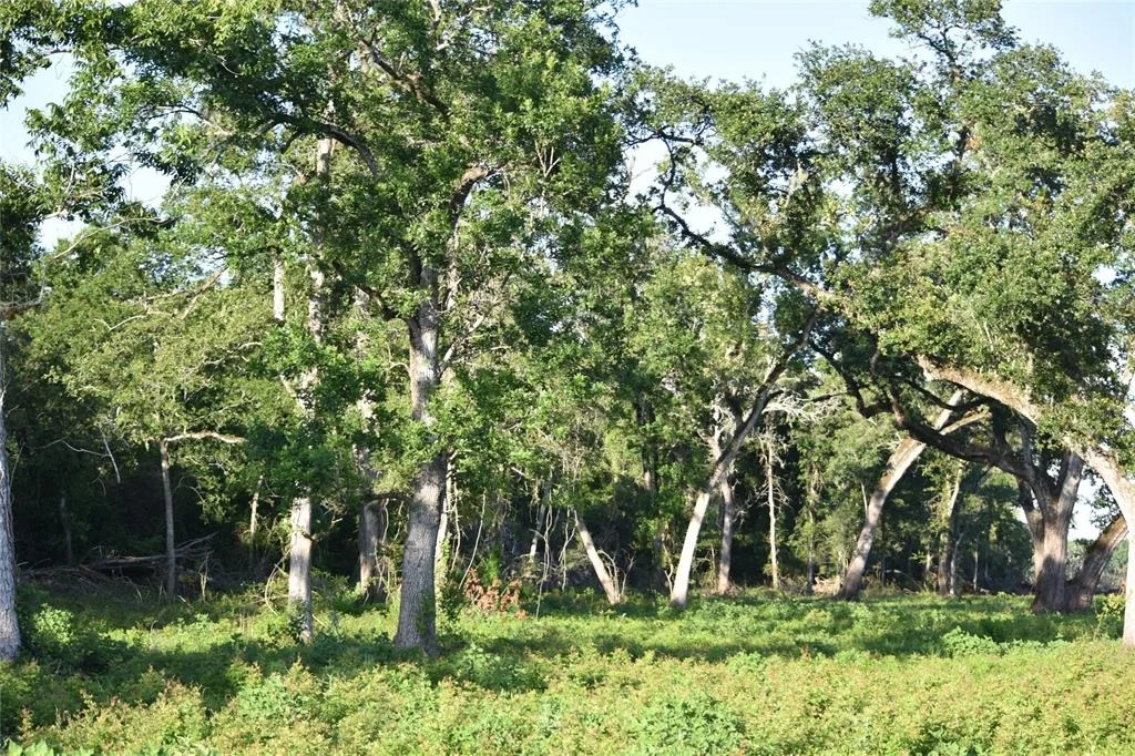 Photo of 5300 U-Pond Drive/County Road 611