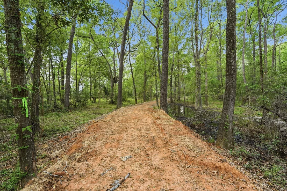 Photo of 19909 Big Oak Drive