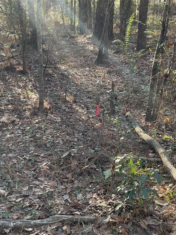 Photo of 00 Wright Boulevard