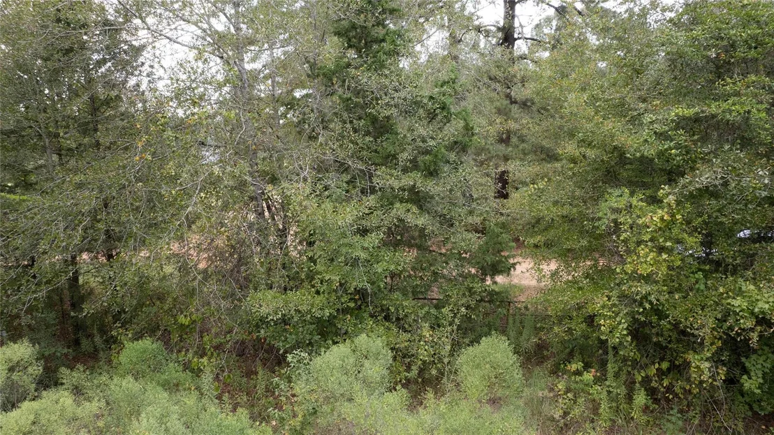 Photo of 770 County Rd 1675