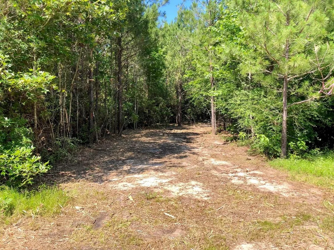 Photo of 4 Eugene Walker Road