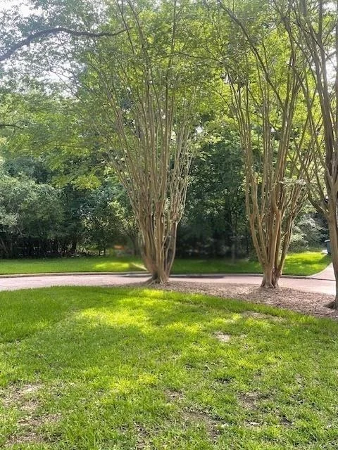 Photo of walden 10 Pebble Beach Circle