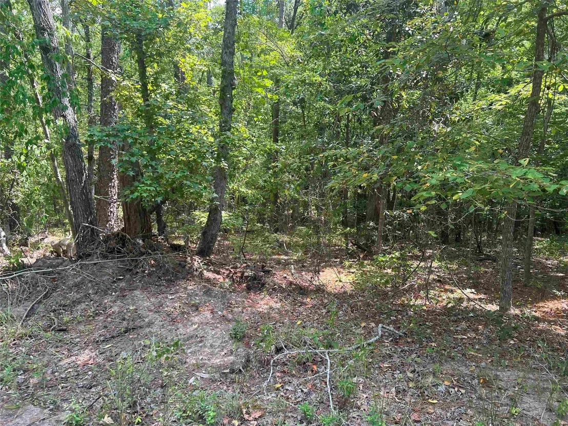 Photo of 57 Shank Drive