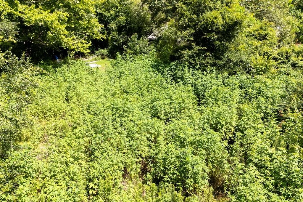 Photo of 21981 White Oak Drive