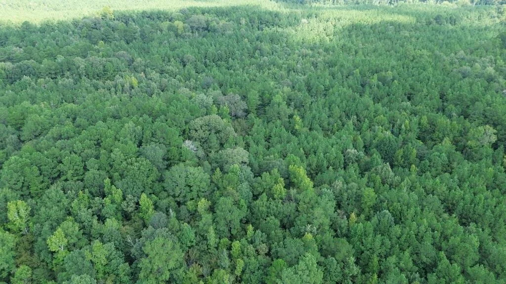 Photo of 6000 Hwy 63 W