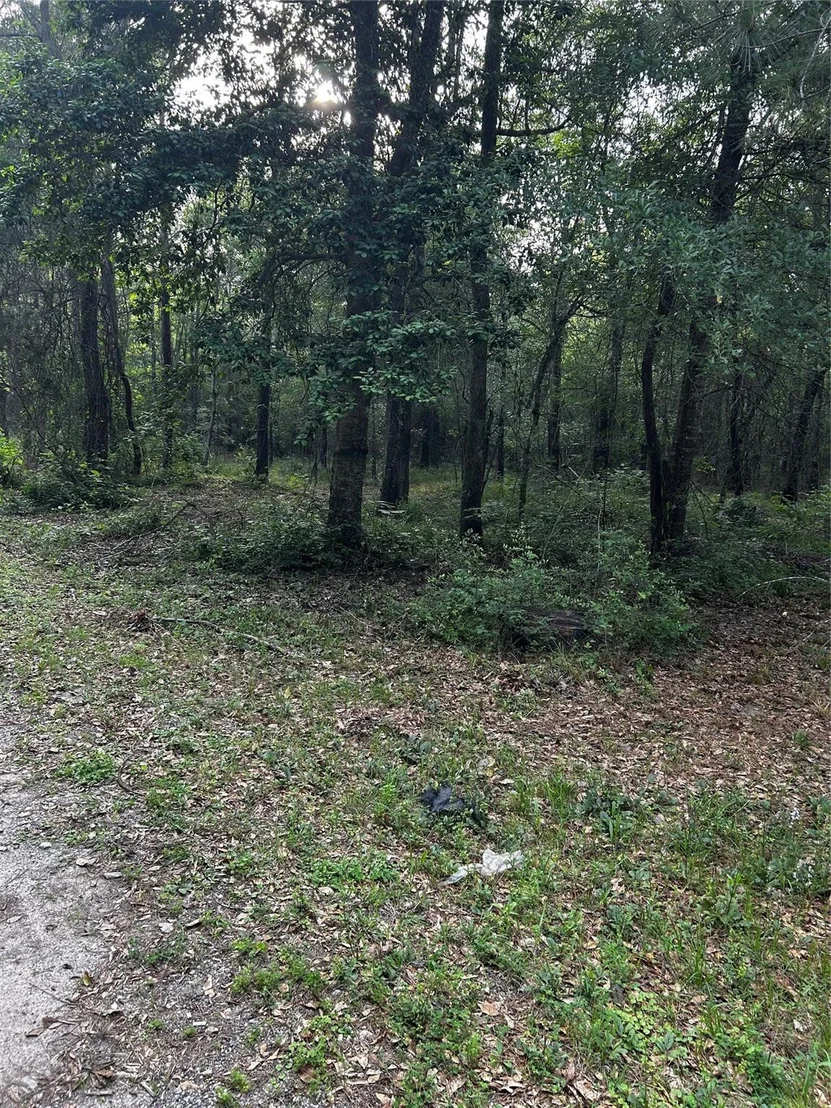 Photo of 0 County Line Road