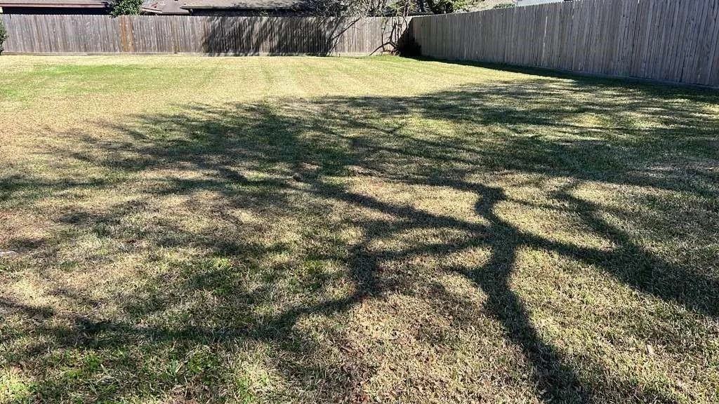 Photo of 1007 Stoney Hill Drive