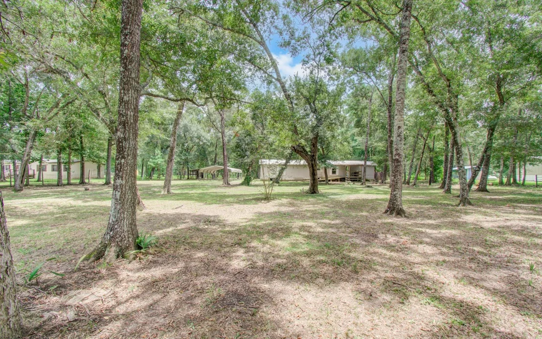 Photo of 447 County Road 410