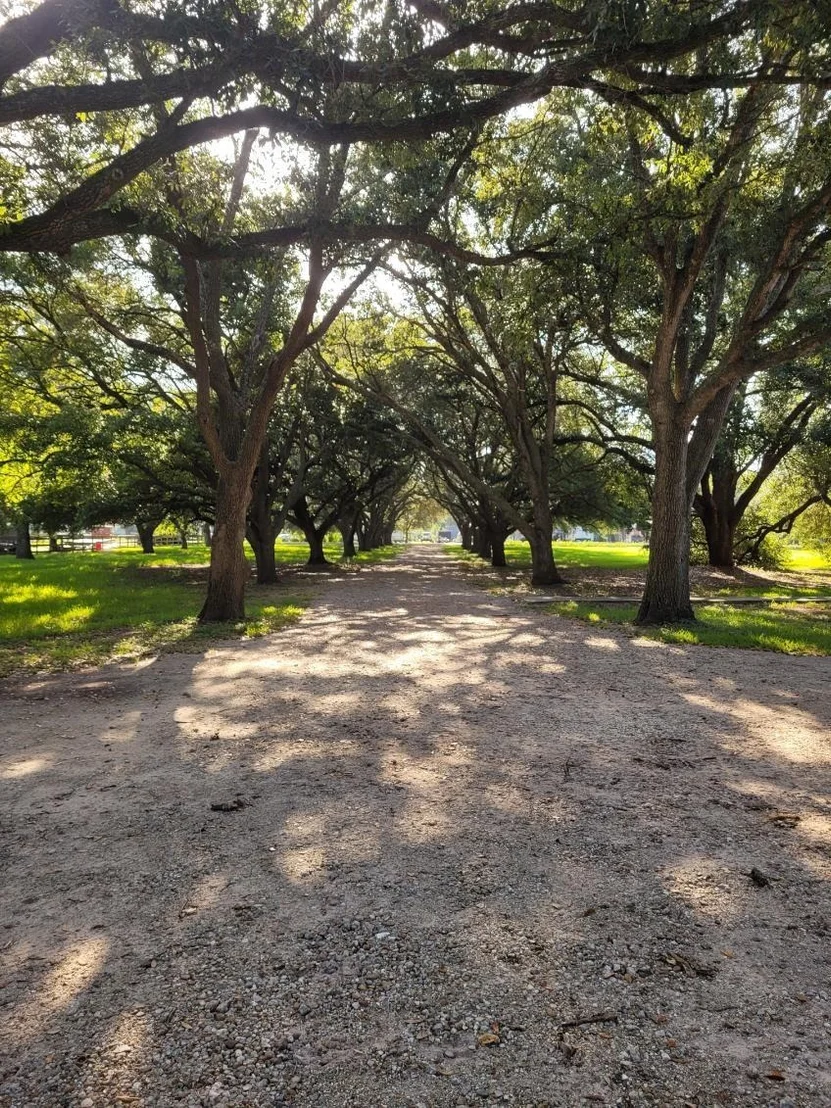 Photo of 5606 Highland Road