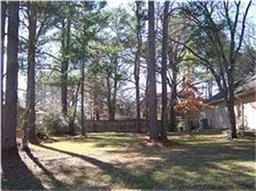 Photo of 99 Wick Willow