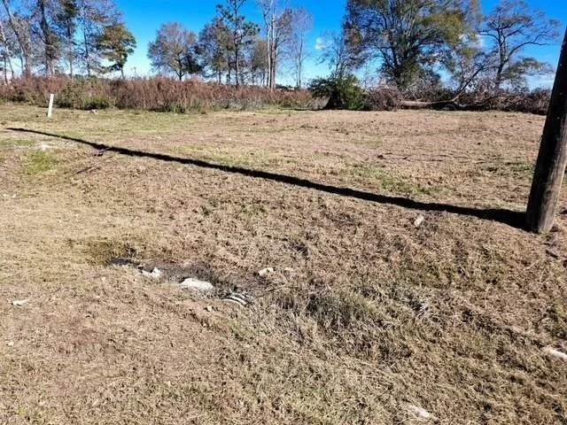 Photo of 347 County Road 5043