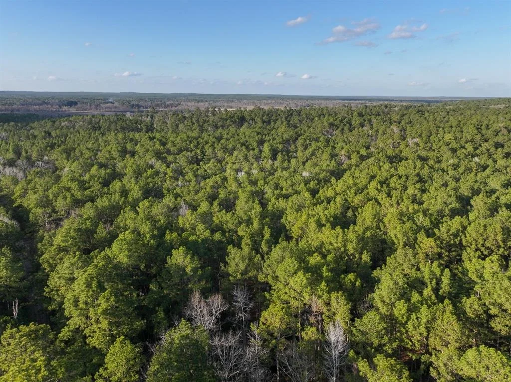 Photo of TBD Off Fm 355