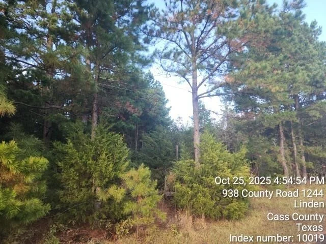 Photo of 938 County Road 1244 Road