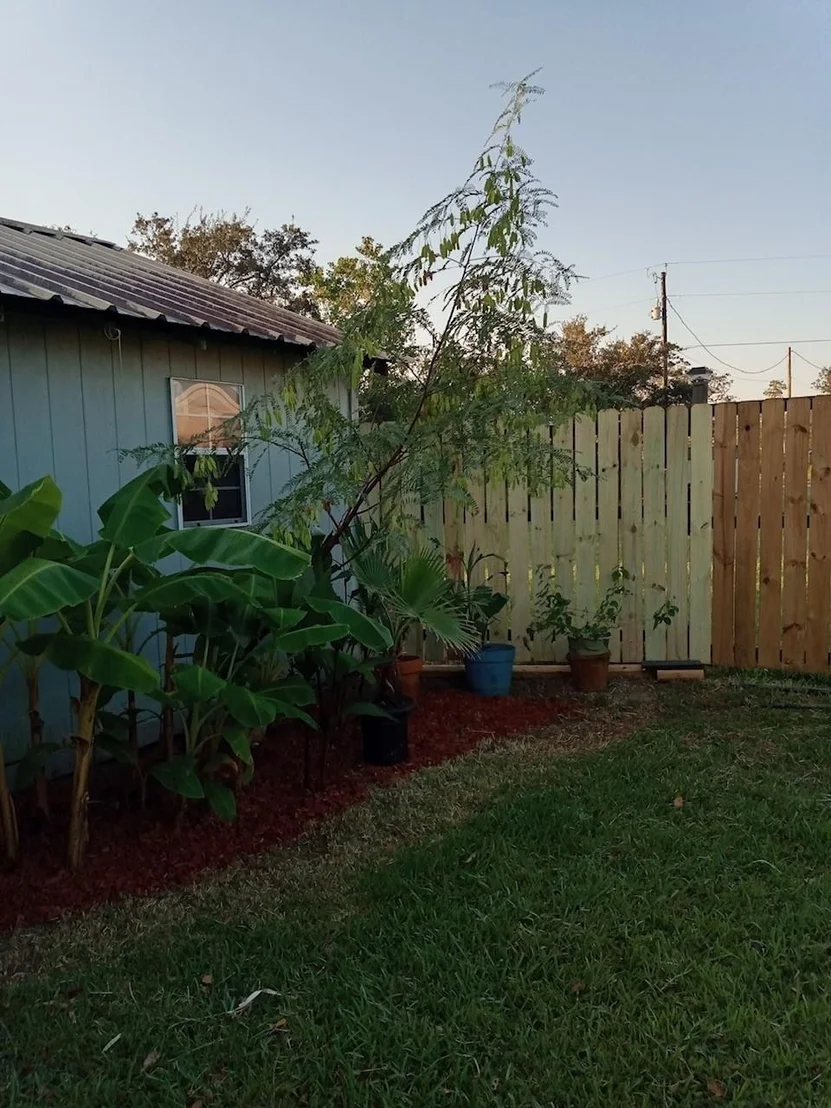 Photo of 6004 Pine Street