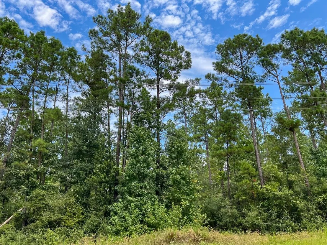 Photo of 23 Highway 94 Road