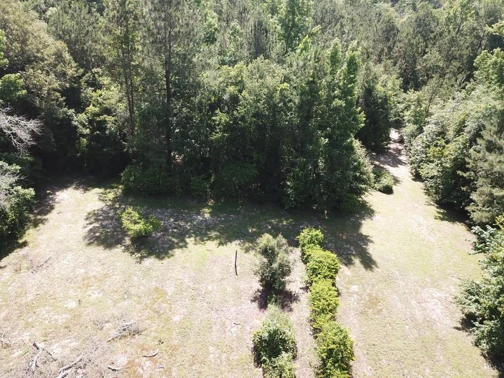 Photo of 164 County Road 2127