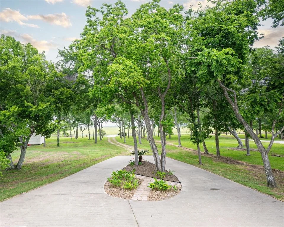 Photo of 383 County Road 296