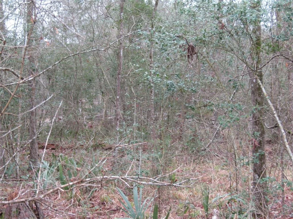 Photo of 0 E Acorn Drive