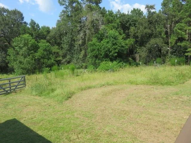 Photo of 28120 Hitching Rack Lane