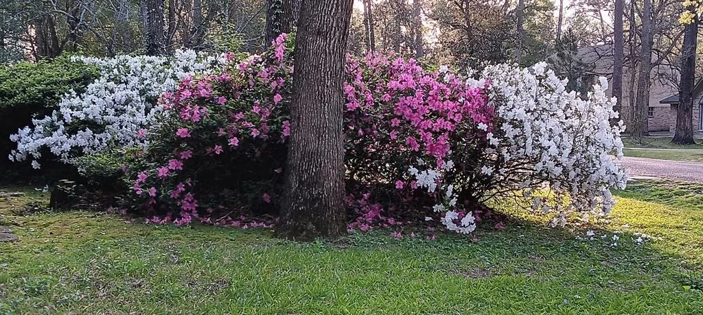 Photo of 639 Tallahassee Park