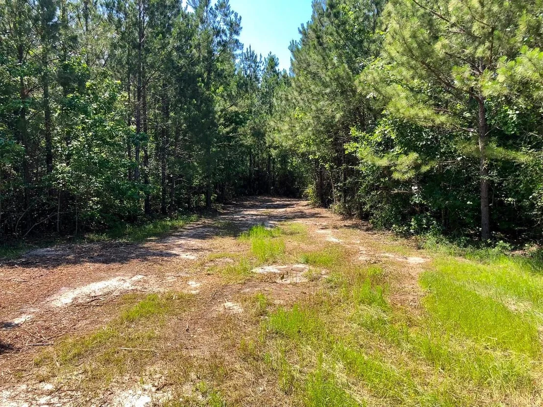 Photo of 4 Eugene Walker Road
