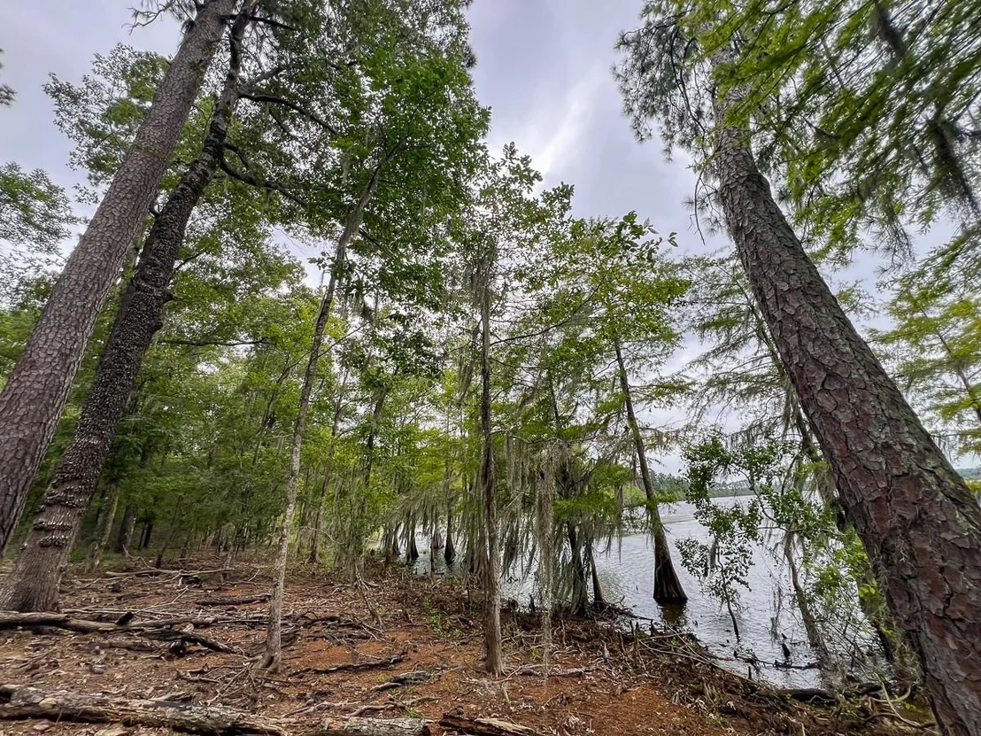 Photo of 4.5 Arledge Trail/Off Gateway Meadows