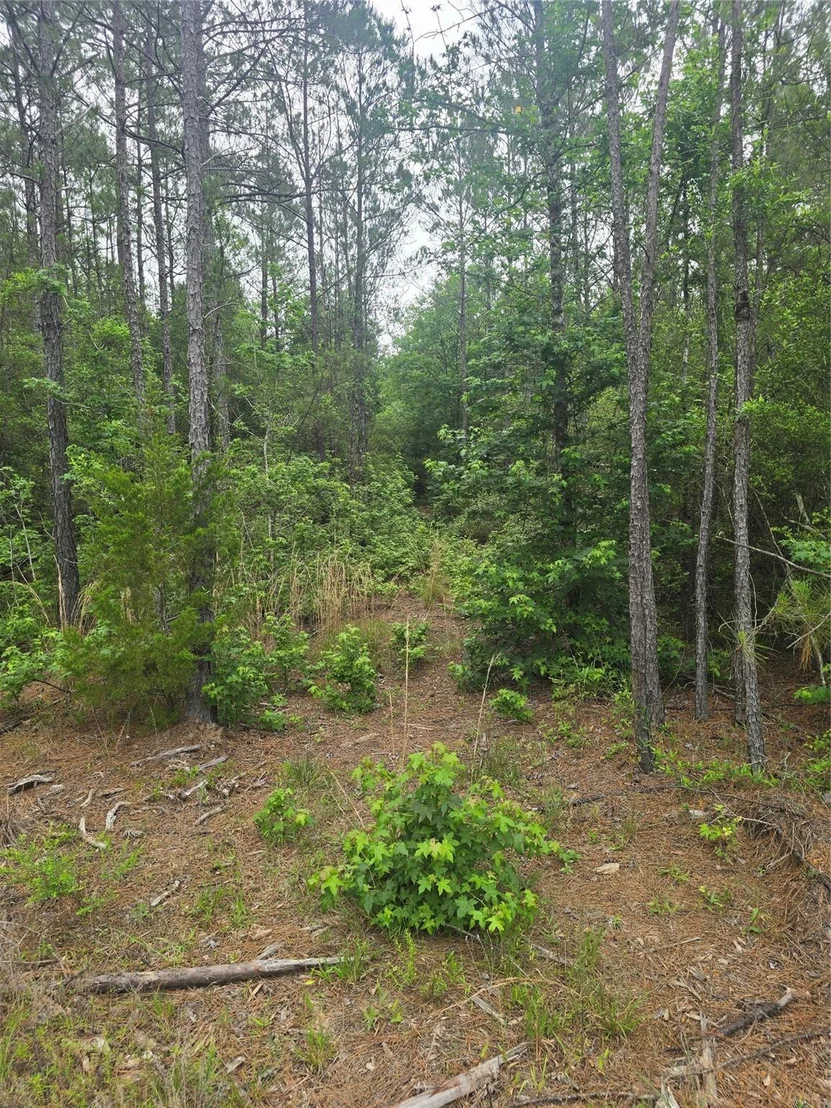Photo of 15386 Red Hawk Road