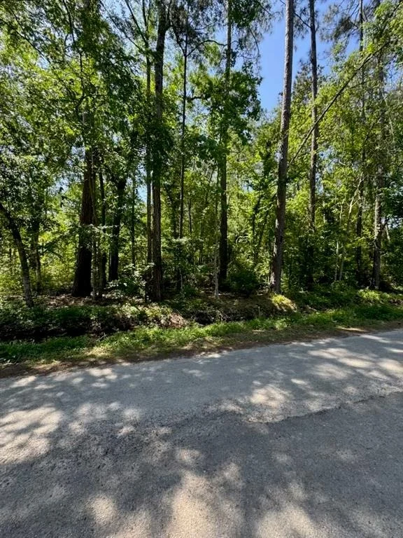 Photo of 166 County Road 3475