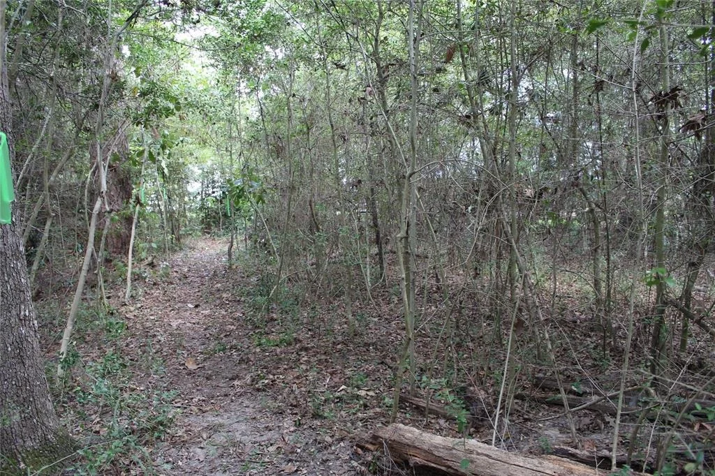 Photo of 1901 Lakeview Estates Drive