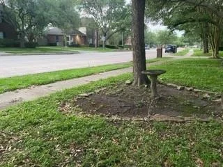 Photo of 115 Eagle Lakes Drive