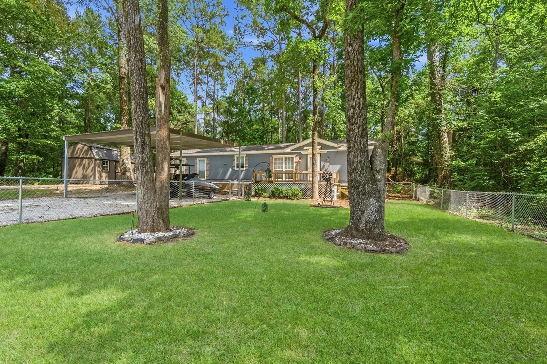 Photo of 165 Black Walnut