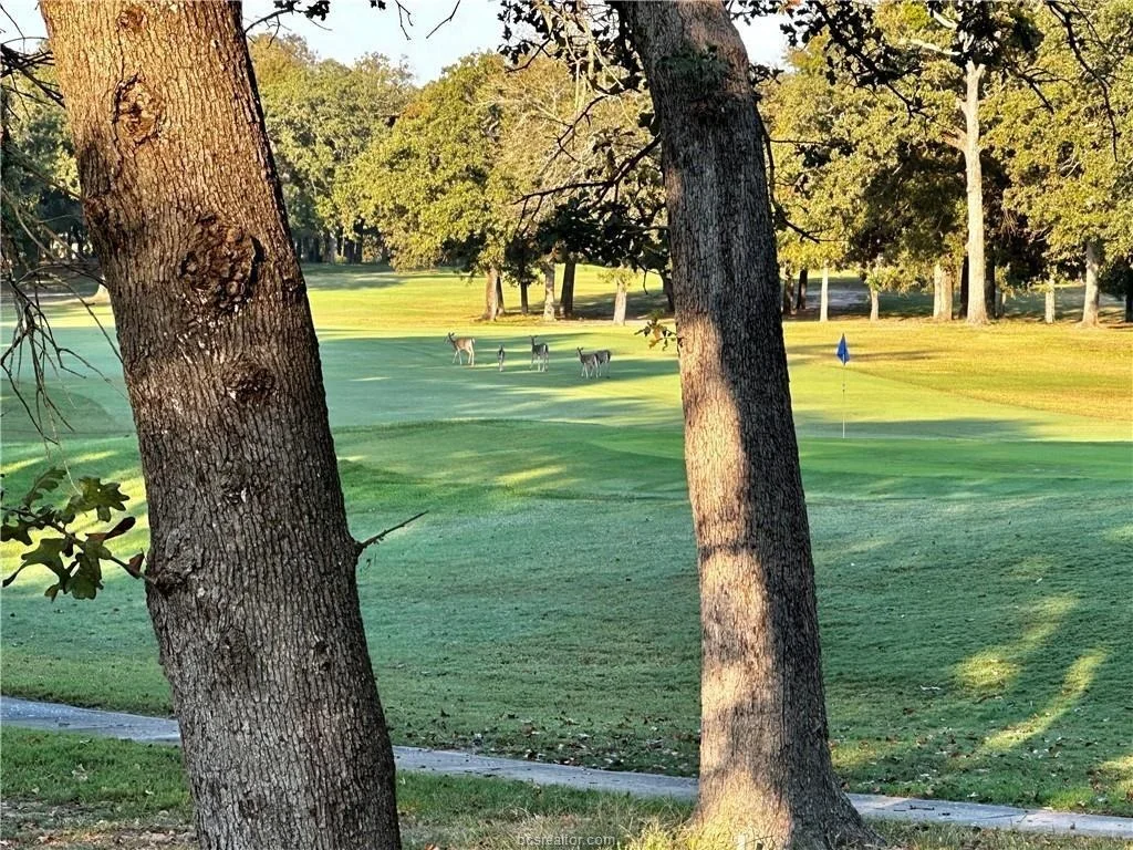 Photo of 1 Ben Hogan Lane