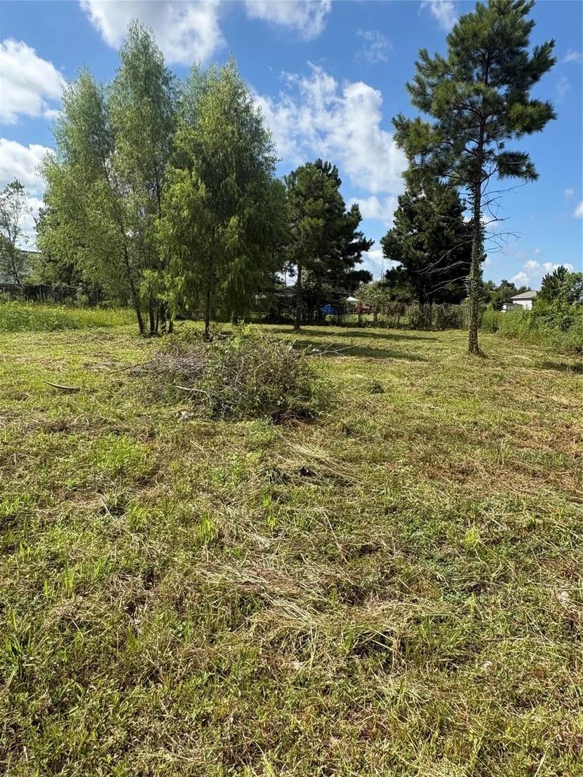 Photo of 1488 County Road 3540