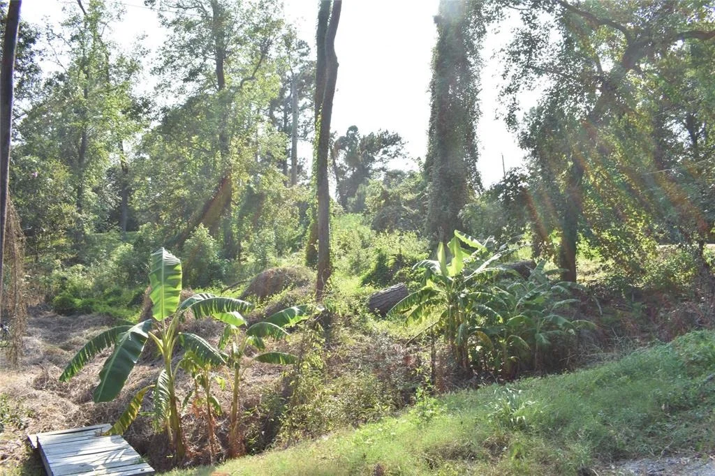 Photo of 00 Shady Glen Drive