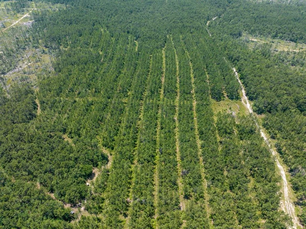 Photo of TBD Fm 355