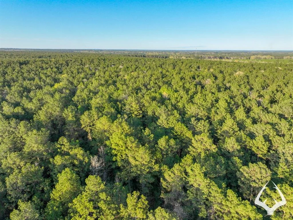 Photo of 850 County Road 4390